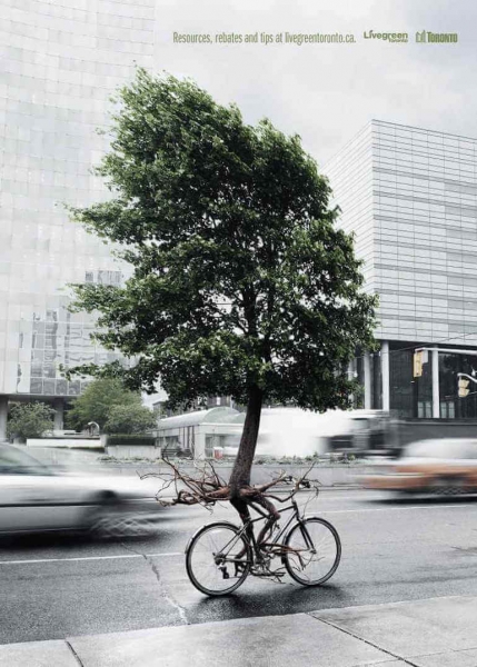 tree on a bike