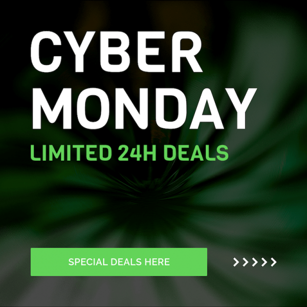 Cyber Monday green 24h Banner Ad Template